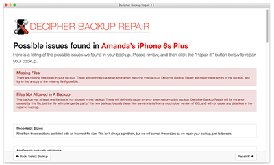 Preview issues found in your broken iPhone backup prior to repairing.